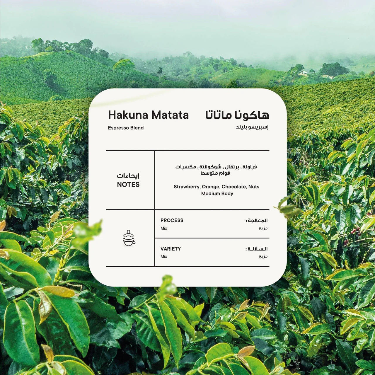 Piccolo - Hakuna Matata Espresso Blend 250g - هاكونا ماتاتا