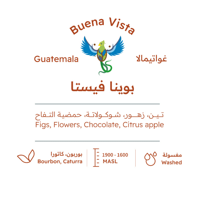RH - GUATEMALA Buena Vista 227g - غواتيمالا بوينا فيستا