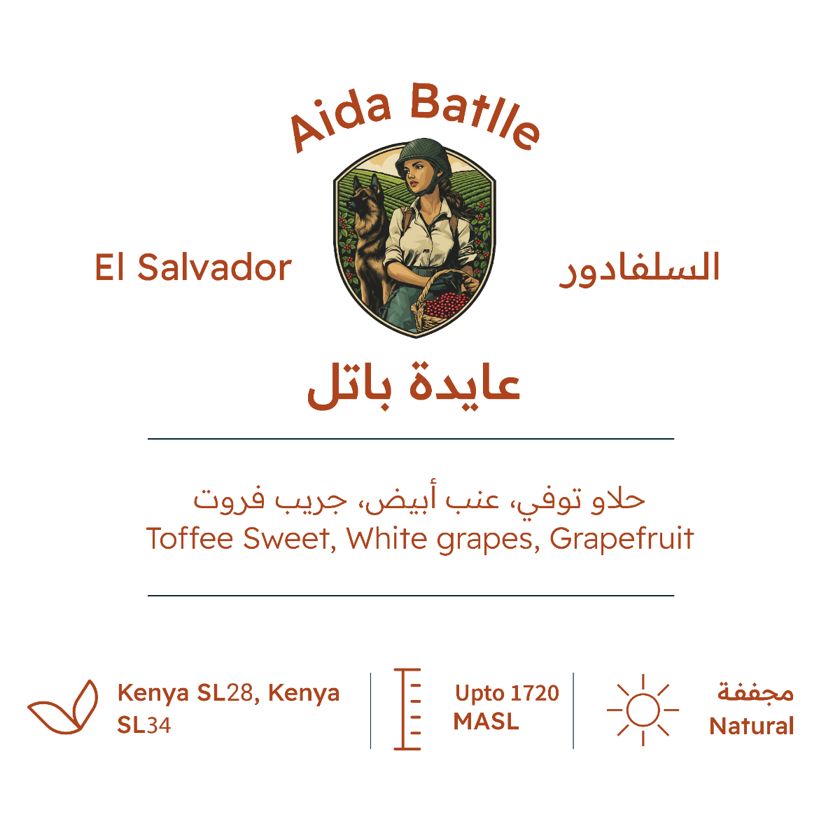 RH - El Salvador Aida Batlle Natural 227g - السلفادور عايدة باتل