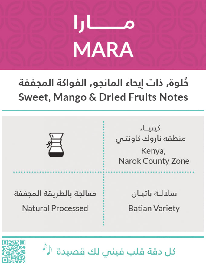 Kiffa Kenya Mara 250g - كينيا مارا