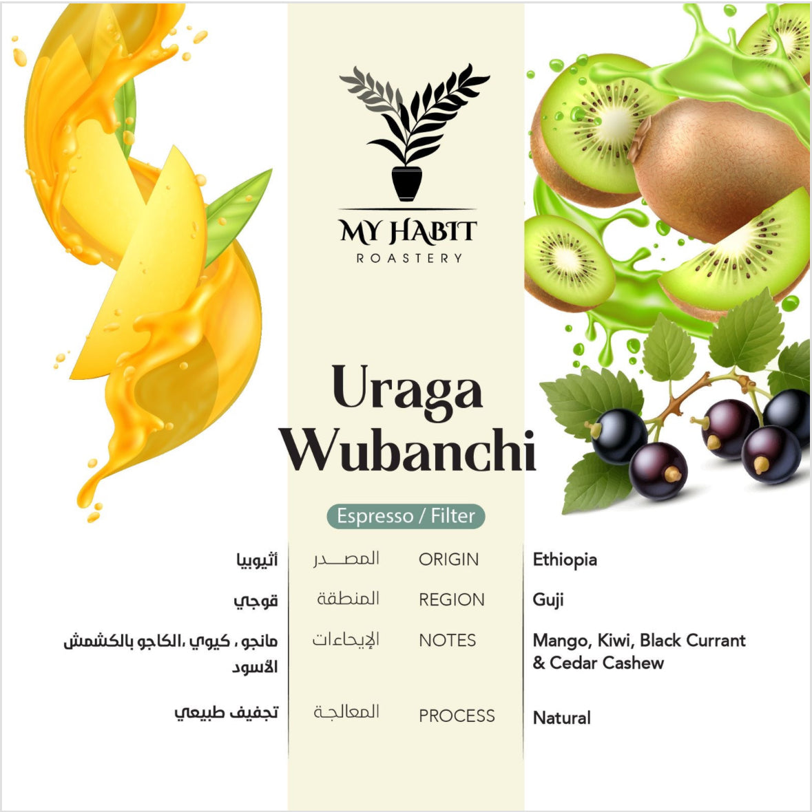 Habit - Ethiopia Guji Uraga Wubanchi 250g