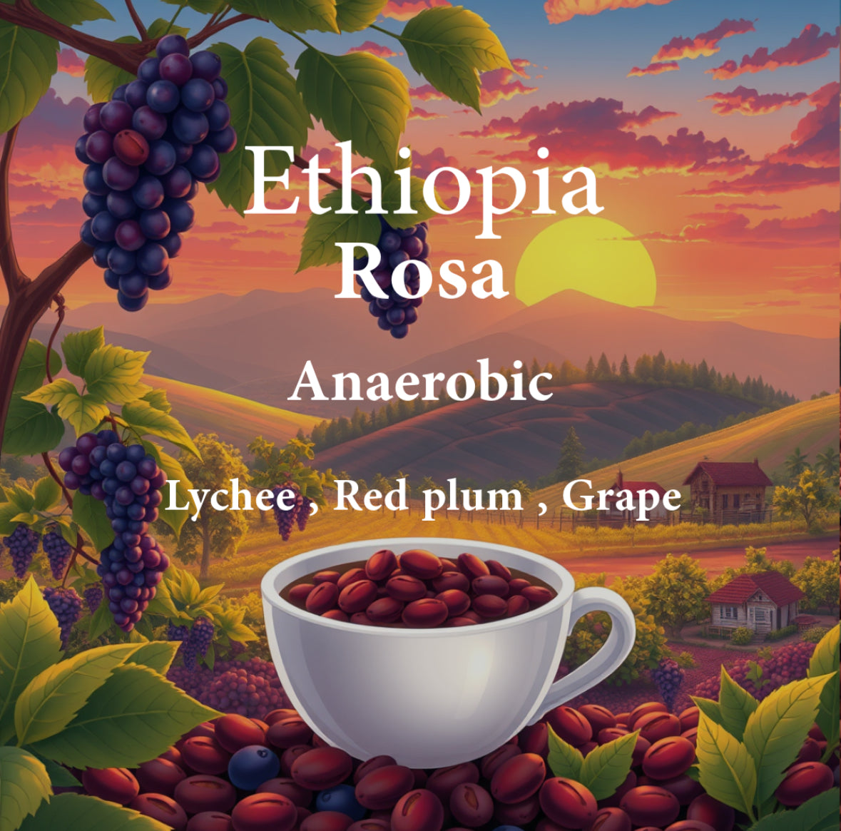 AL3Z - Ethiopia Rosa 250g