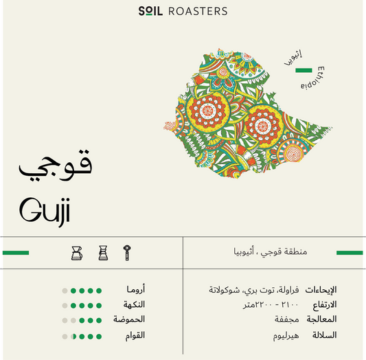 سويل قوجي اثيوبيا - Soil Ethiopia Guji (250g)