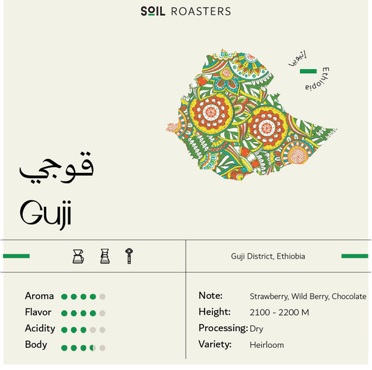 سويل قوجي اثيوبيا - Soil Ethiopia Guji (250g)