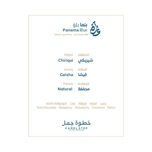 CamelStep - Panama Blue 250g - بنما بلو