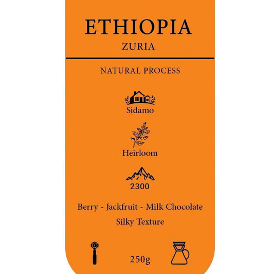 EULER - Ethiopia Zuria 250g - اثيوبيا زوريا