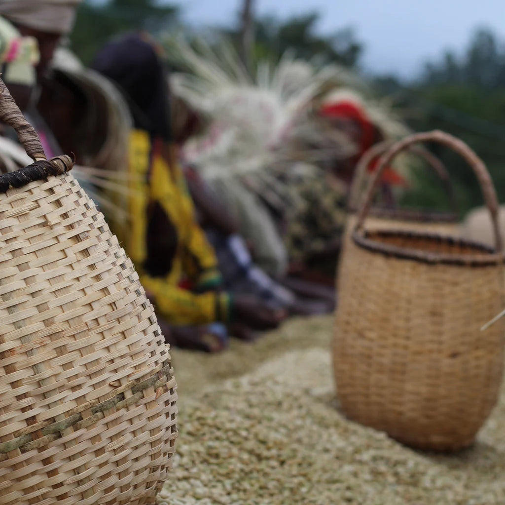 Nero - Ethiopia Bochesa Washed - Sidama ( Filter ) 250g