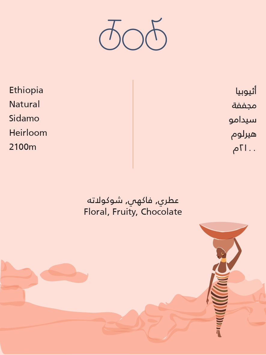 Tricycle Ethiopia Sidamo 250g - أثيوبيا سيدامو