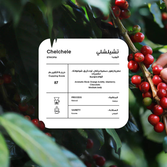 Piccolo - Ethiopia Chelchele Natural 250g - اثيوبيا تشيلشلي