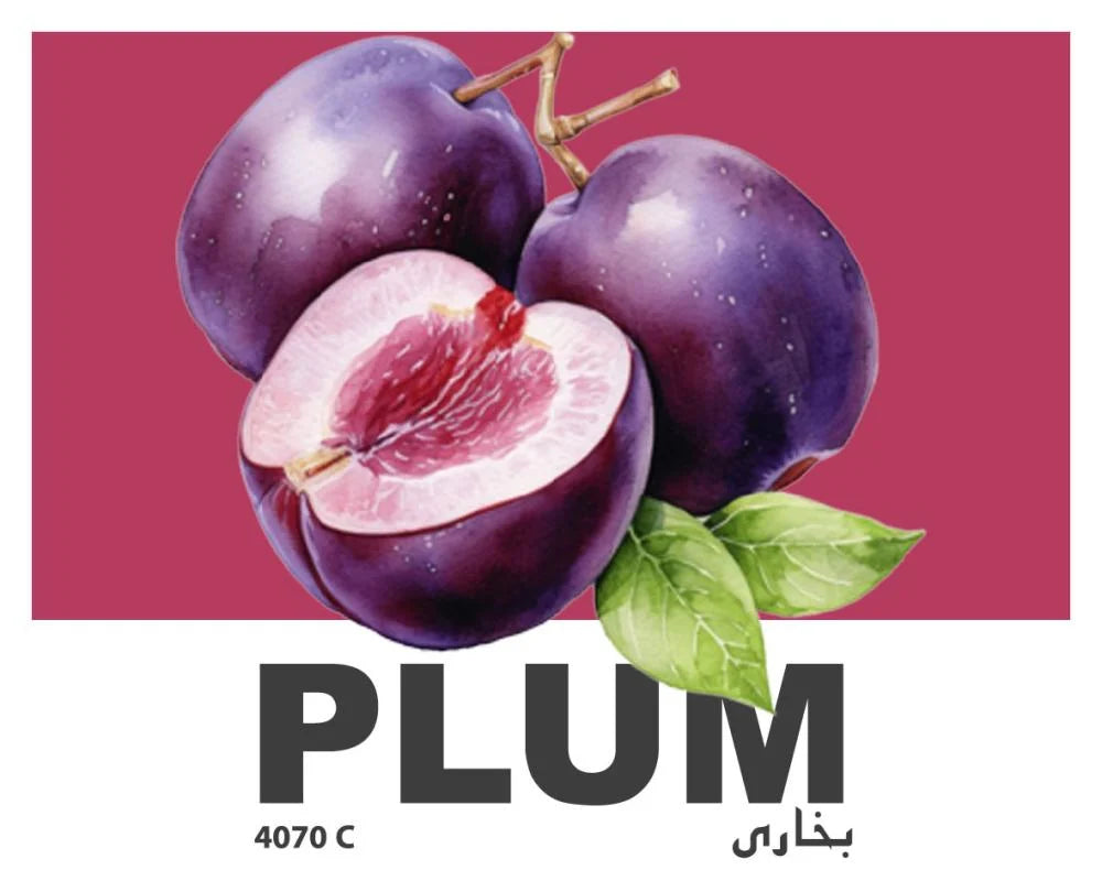 ASH - Colombia Plum Anaerobic 120G - بخارى لاهوائي
