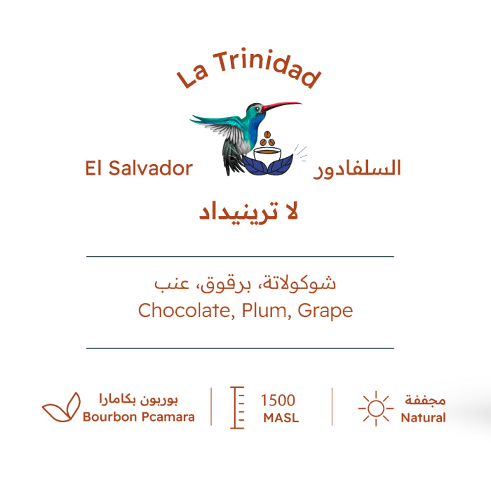 RH - El Salvador La Trinidad Natural Grainpro 227g - السلفادور لا ترينيداد