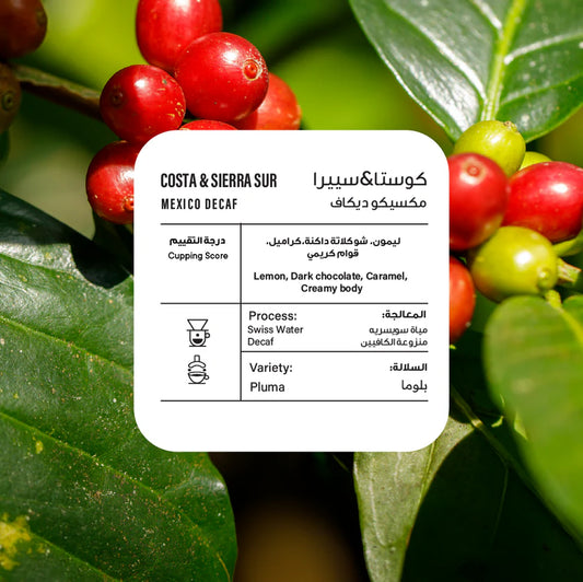 Piccolo - MEXICO COSTA & SIERRA SUR  ( DECAF ) 250g - مكسيكو ديكاف
