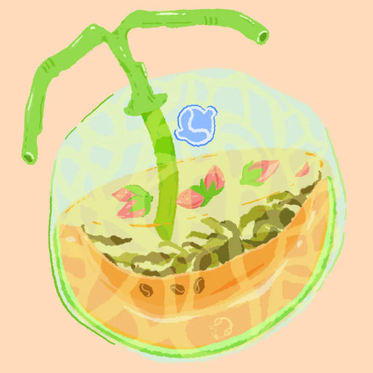 Hydrangea - Castillo - Rose Tea - Finca El Paraiso 114g
