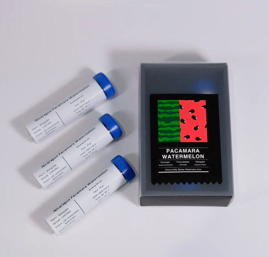 StockRoom Nicaragua Pacamara Watermelon ( Filter ) 100g