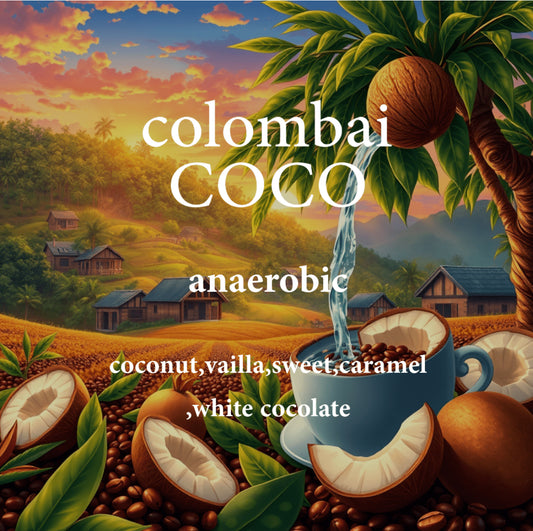 AL3Z - Colombia coconut 250g