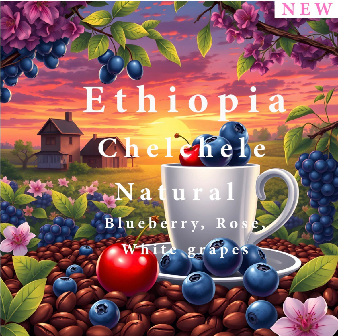 AL3Z - Ethiopia Chelchele 250g