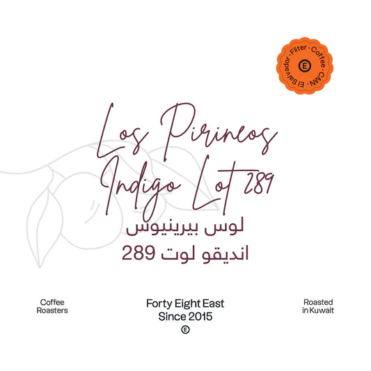 48e -  El Salvador Los Pirineos Indigo Lot 289 250g