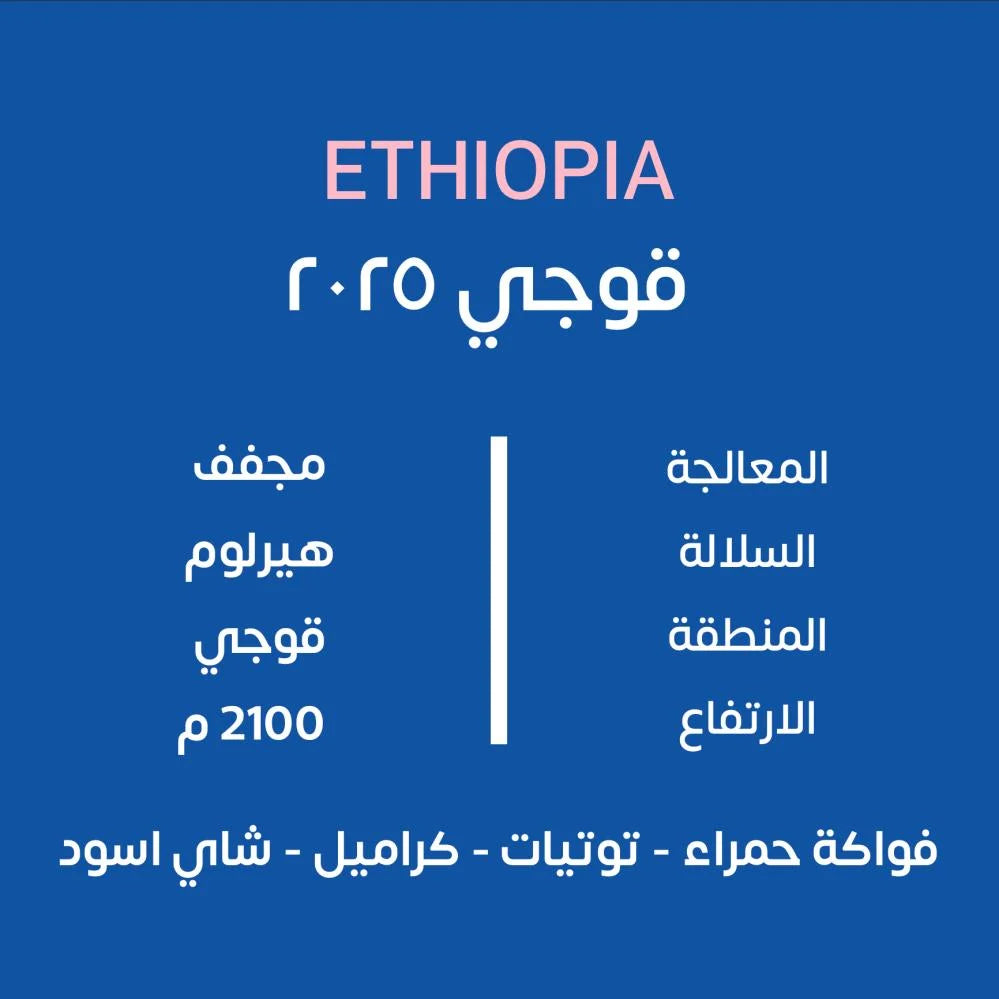 KUF - Guji 2025 Ethiopia 250G  - اثيوبيا قوجي 2025
