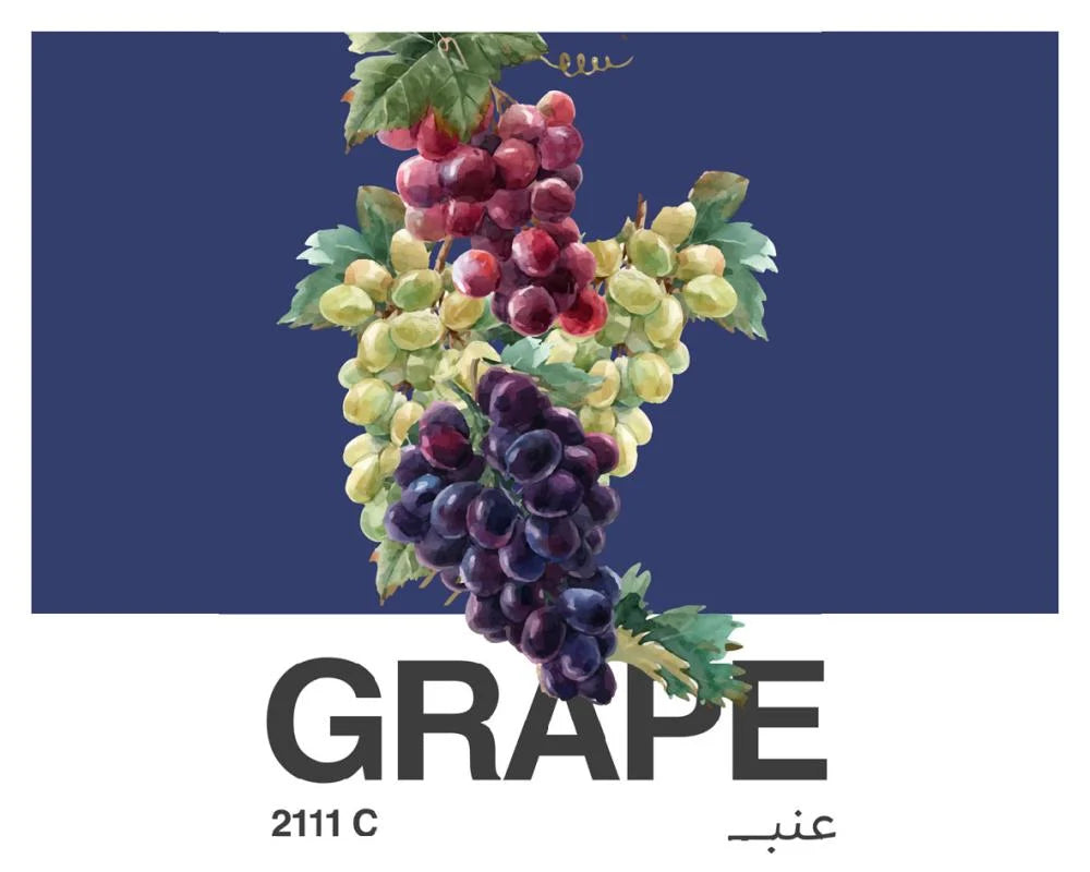 ASH - Grape Natural Anaerobic 120G - عنب لاهوائي