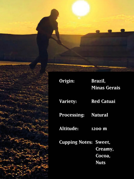 MVSM - SURE SHOT NATURAL BRAZIL 250G