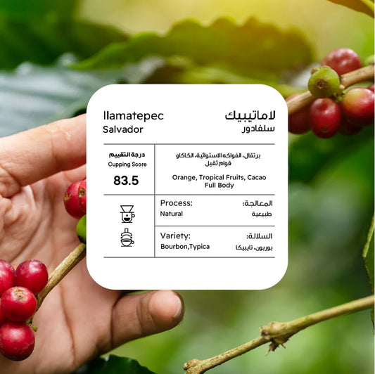 Piccolo - El Salvador llamatepec 250g - لاماتيبيك