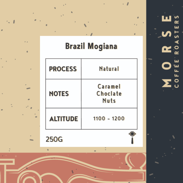 Morse Brazil Moginan - البرازيل موجيانا مجففه اسبريسو
